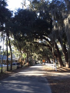 the Spanish moss was pretty cool...